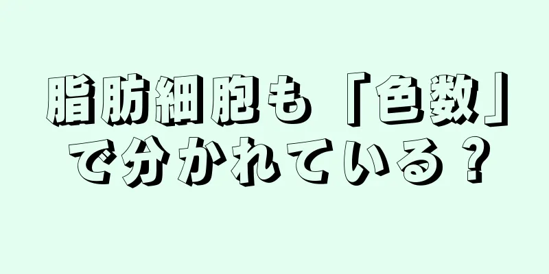 脂肪細胞も「色数」で分かれている？