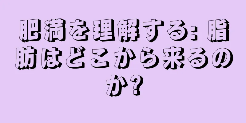 肥満を理解する: 脂肪はどこから来るのか?