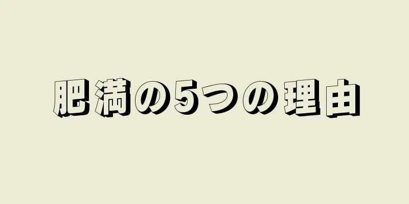 肥満の5つの理由