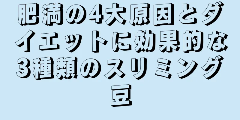 肥満の4大原因とダイエットに効果的な3種類のスリミング豆