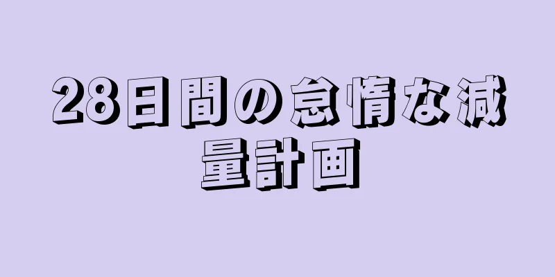 28日間の怠惰な減量計画