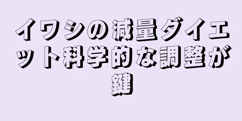 イワシの減量ダイエット科学的な調整が鍵