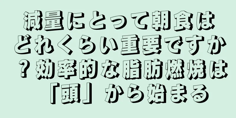 減量にとって朝食はどれくらい重要ですか？効率的な脂肪燃焼は「頭」から始まる