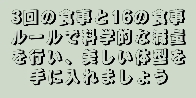 3回の食事と16の食事ルールで科学的な減量を行い、美しい体型を手に入れましょう