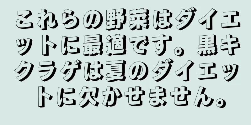 これらの野菜はダイエットに最適です。黒キクラゲは夏のダイエットに欠かせません。