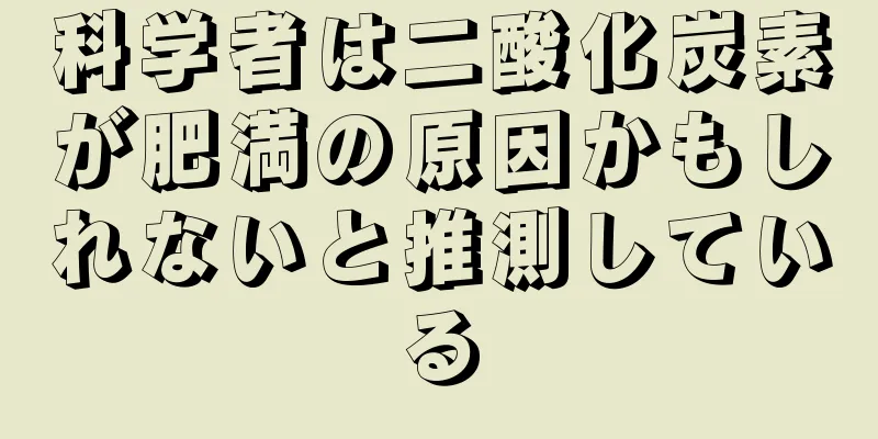 科学者は二酸化炭素が肥満の原因かもしれないと推測している