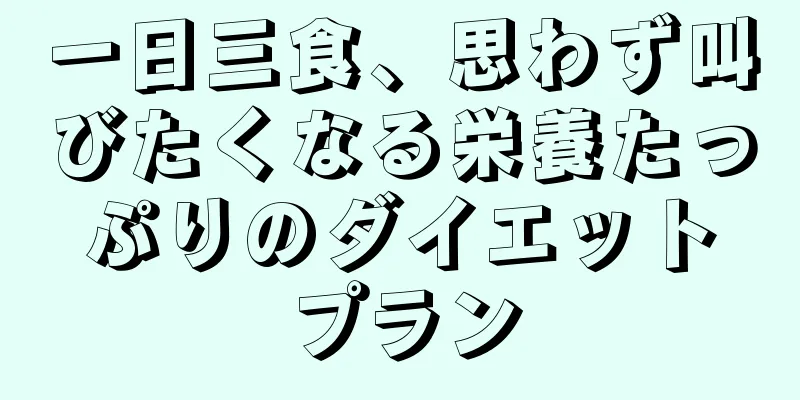 一日三食、思わず叫びたくなる栄養たっぷりのダイエットプラン