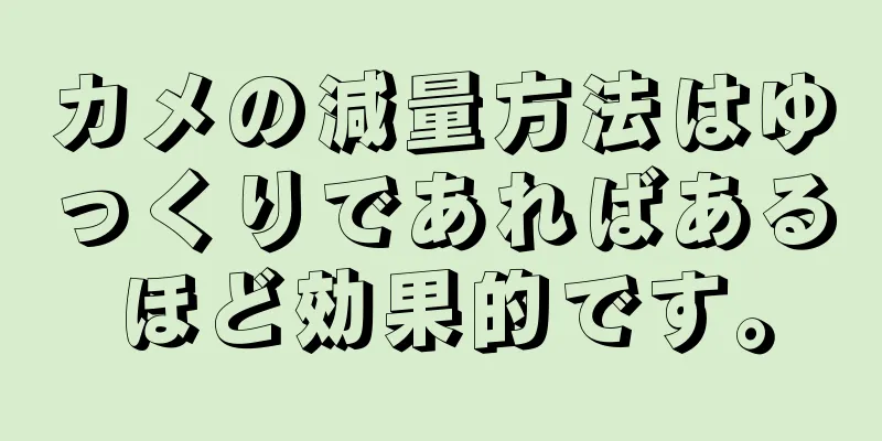 カメの減量方法はゆっくりであればあるほど効果的です。