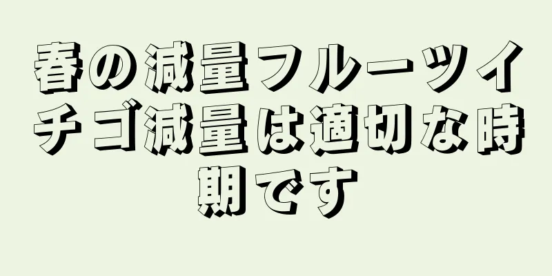 春の減量フルーツイチゴ減量は適切な時期です