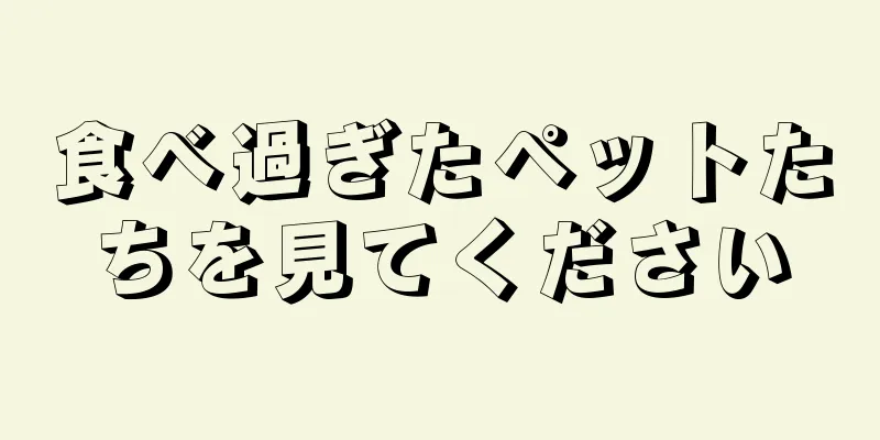 食べ過ぎたペットたちを見てください
