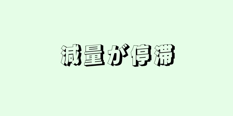 減量が停滞