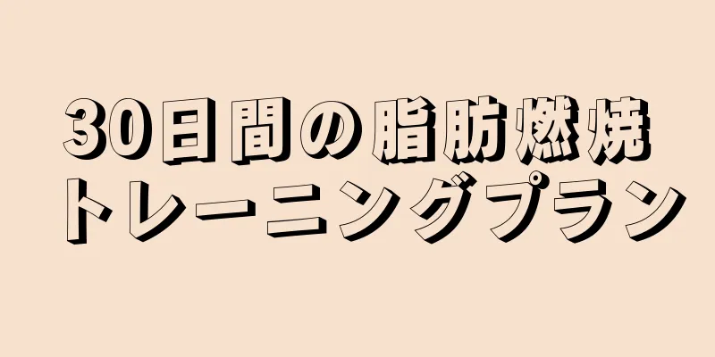 30日間の脂肪燃焼トレーニングプラン