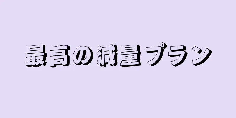 最高の減量プラン