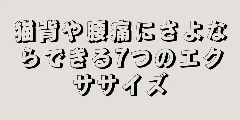 猫背や腰痛にさよならできる7つのエクササイズ