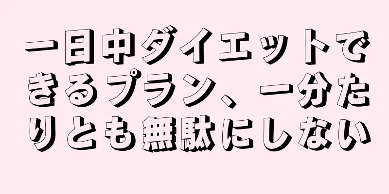 一日中ダイエットできるプラン、一分たりとも無駄にしない