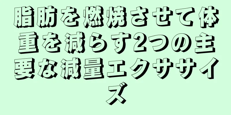 脂肪を燃焼させて体重を減らす2つの主要な減量エクササイズ