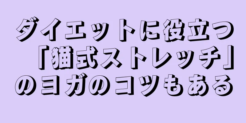 ダイエットに役立つ「猫式ストレッチ」のヨガのコツもある