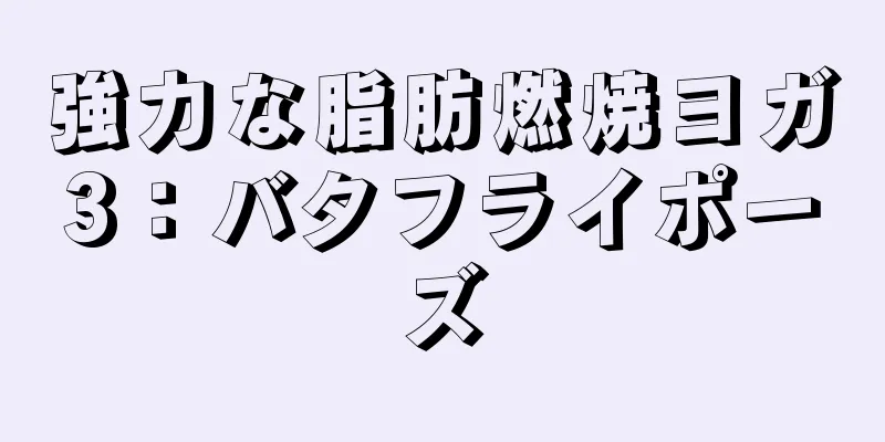 強力な脂肪燃焼ヨガ3：バタフライポーズ