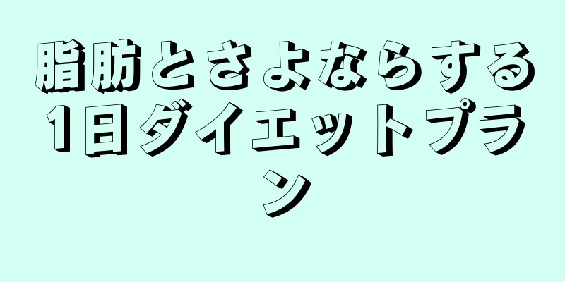 脂肪とさよならする1日ダイエットプラン
