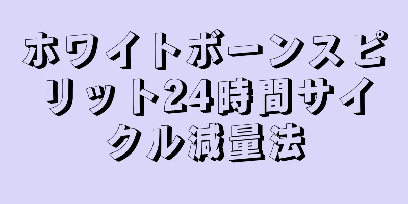 ホワイトボーンスピリット24時間サイクル減量法