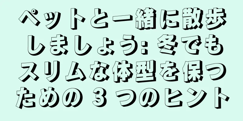 ペットと一緒に散歩しましょう: 冬でもスリムな体型を保つための 3 つのヒント