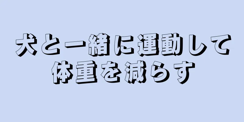 犬と一緒に運動して体重を減らす