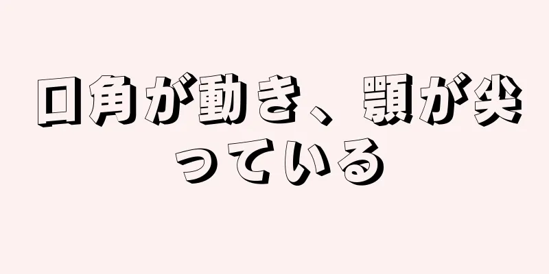 口角が動き、顎が尖っている