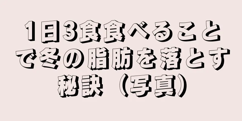 1日3食食べることで冬の脂肪を落とす秘訣（写真）