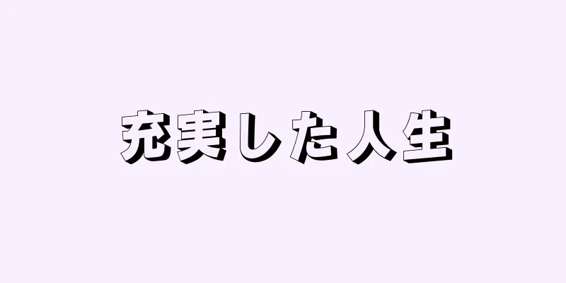 充実した人生