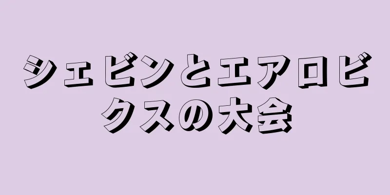 シェビンとエアロビクスの大会