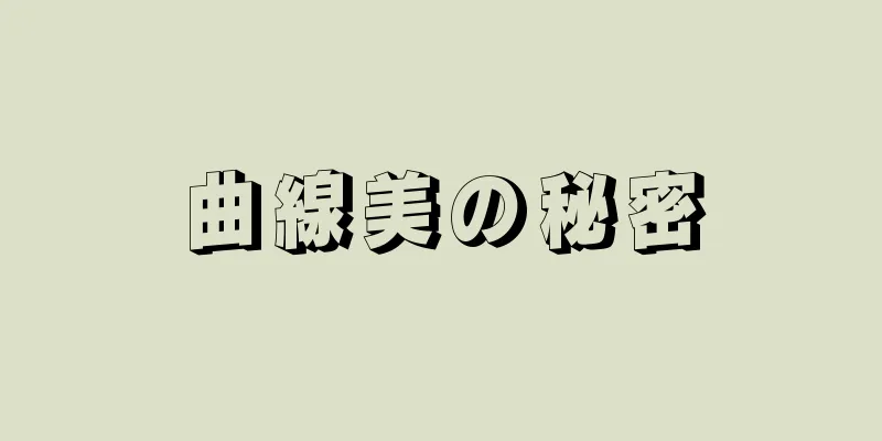 曲線美の秘密