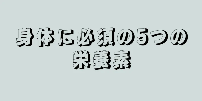身体に必須の5つの栄養素