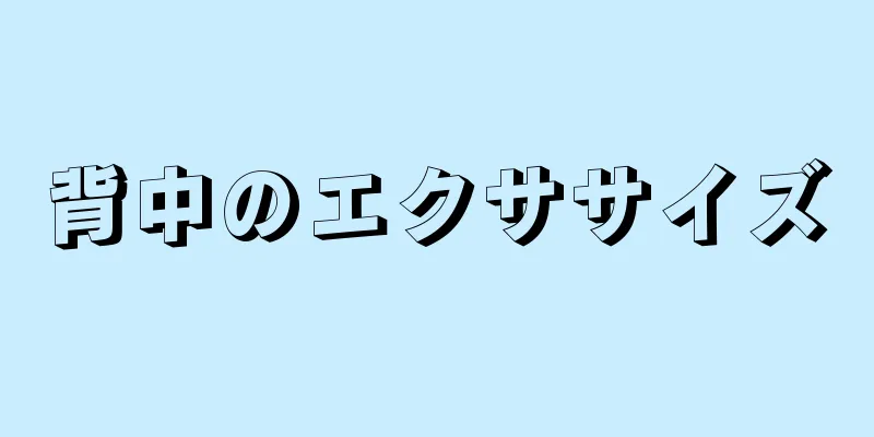 背中のエクササイズ