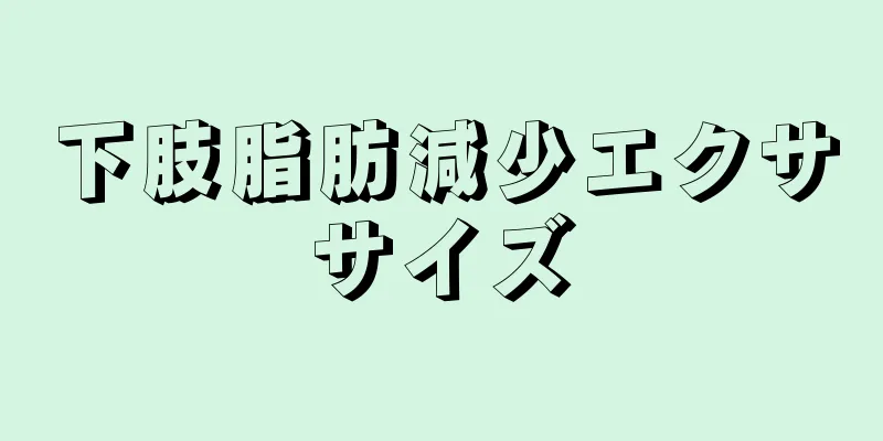 下肢脂肪減少エクササイズ