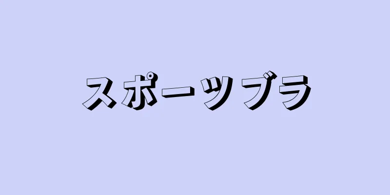 スポーツブラ