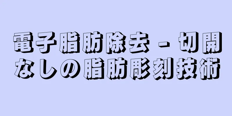 電子脂肪除去 - 切開なしの脂肪彫刻技術