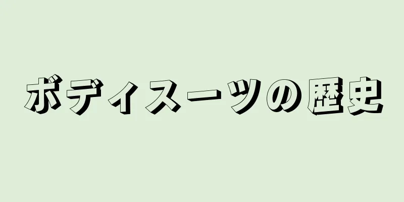 ボディスーツの歴史