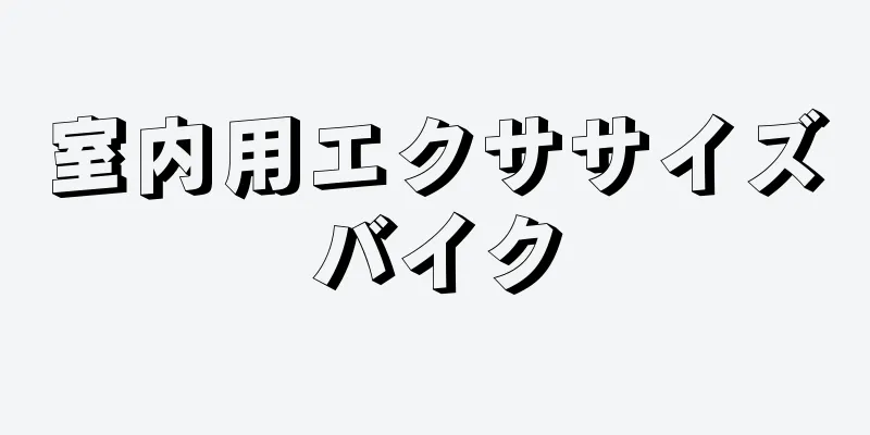 室内用エクササイズバイク