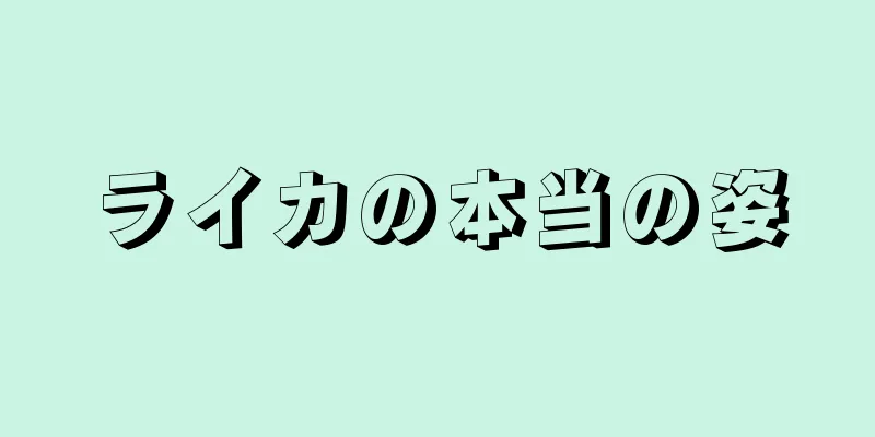 ライカの本当の姿