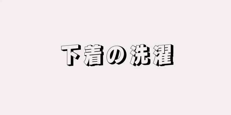 下着の洗濯