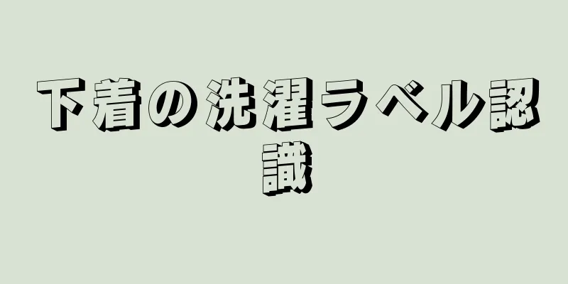 下着の洗濯ラベル認識