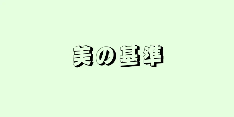 美の基準